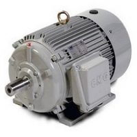 Motor Electric
